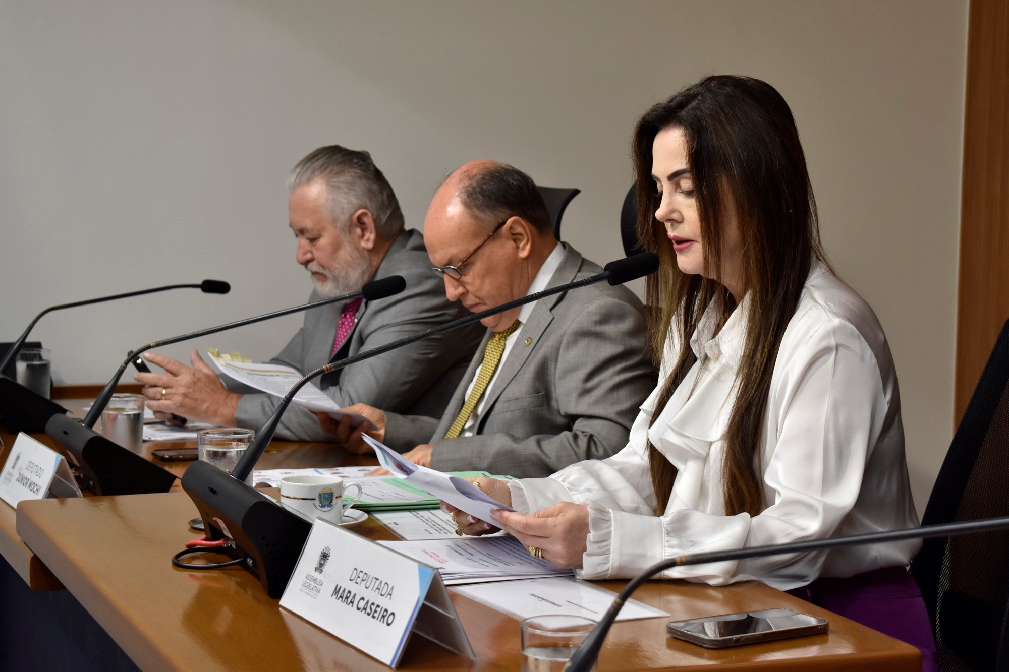 Reajuste para o Mais Social foi aprovado na CCJR