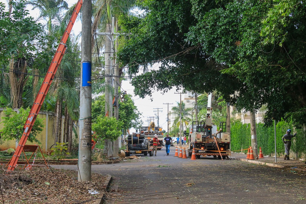Quedas de árvores em diversos pontos da cidade durante a tempestade