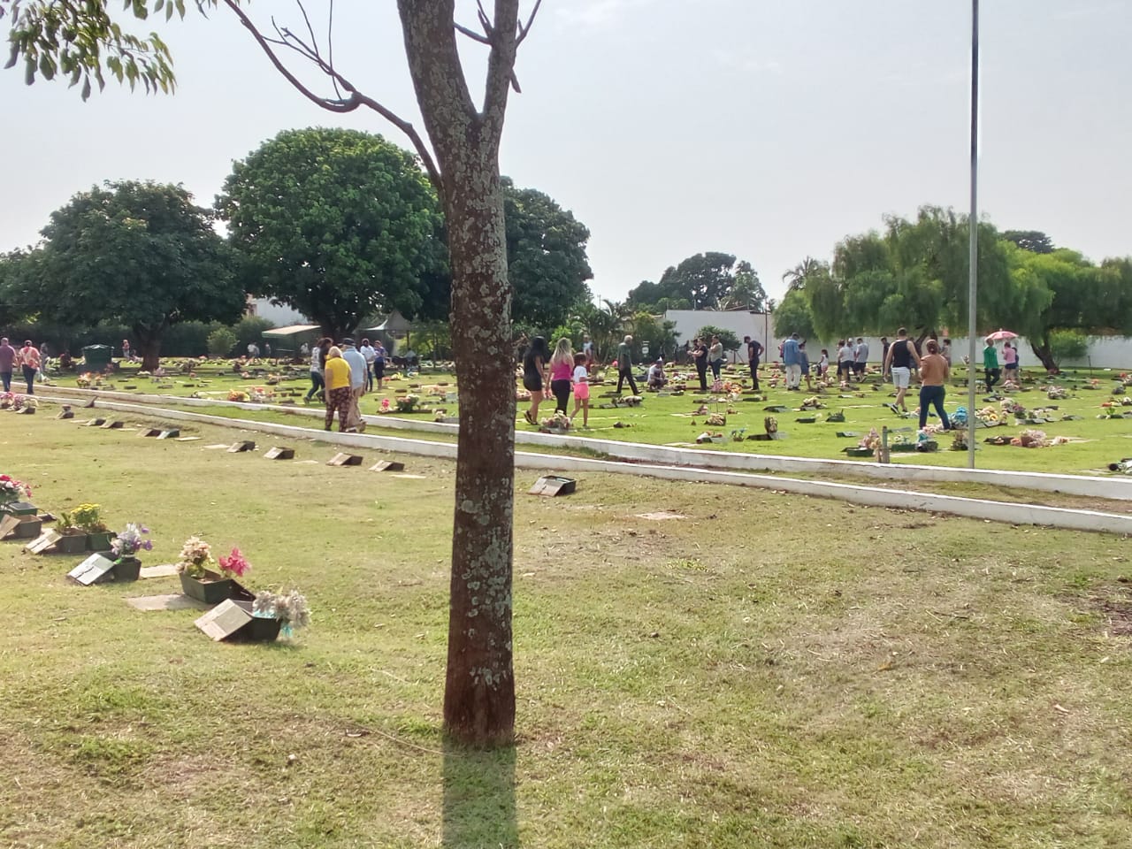 Campo Grande terá 19 missas, tarifa reduzida e interdições no trânsito no Dia de Finados