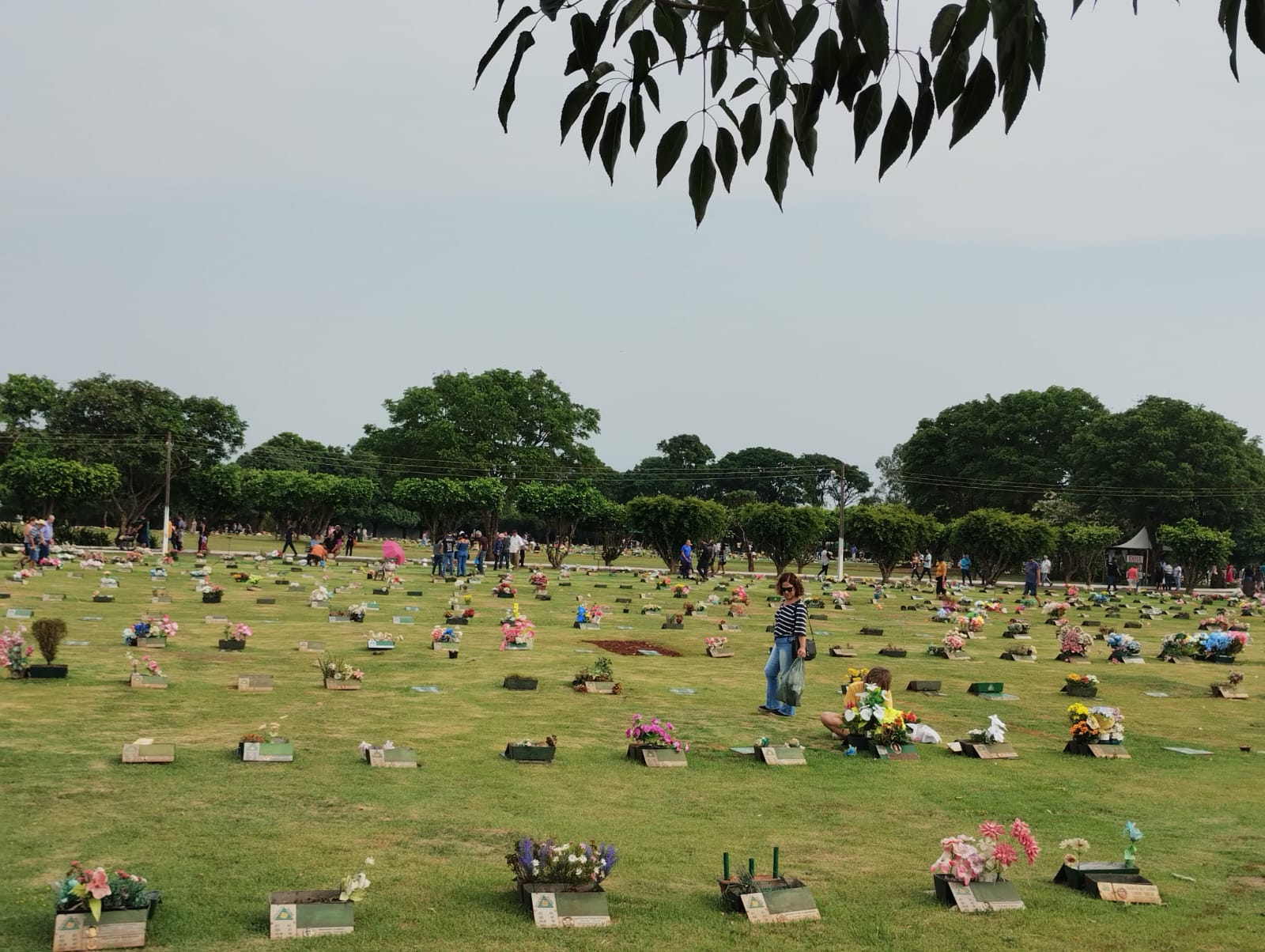 Foto: Amanda Ferreira