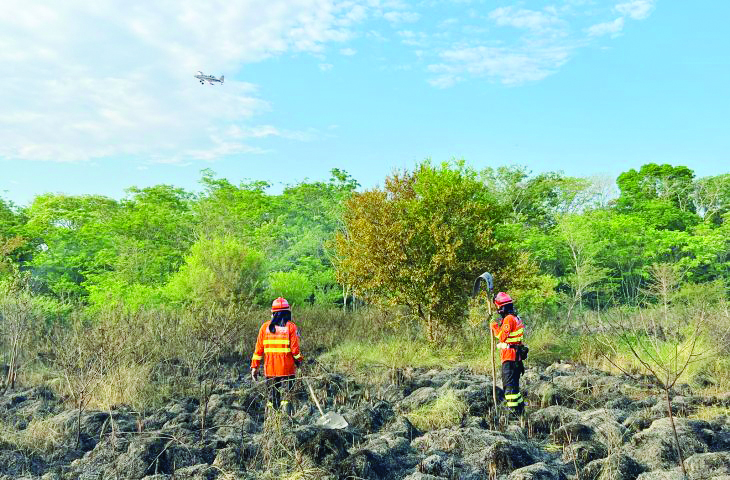 Foto: Reprodução/Equipes contam com reforço por terra e ar
e tentam minimizar os impactos das chamas