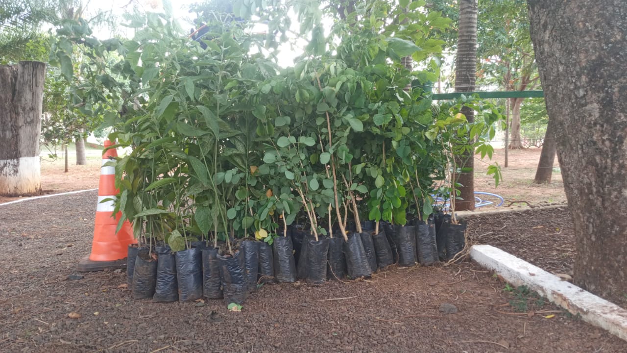 O evento acontecerá no dia 07 de novembro, terça-feira, às 9h, na Área de Preservação Permanente – APP do Córrego Ribeirão das Botas..|Foto: Divulgação