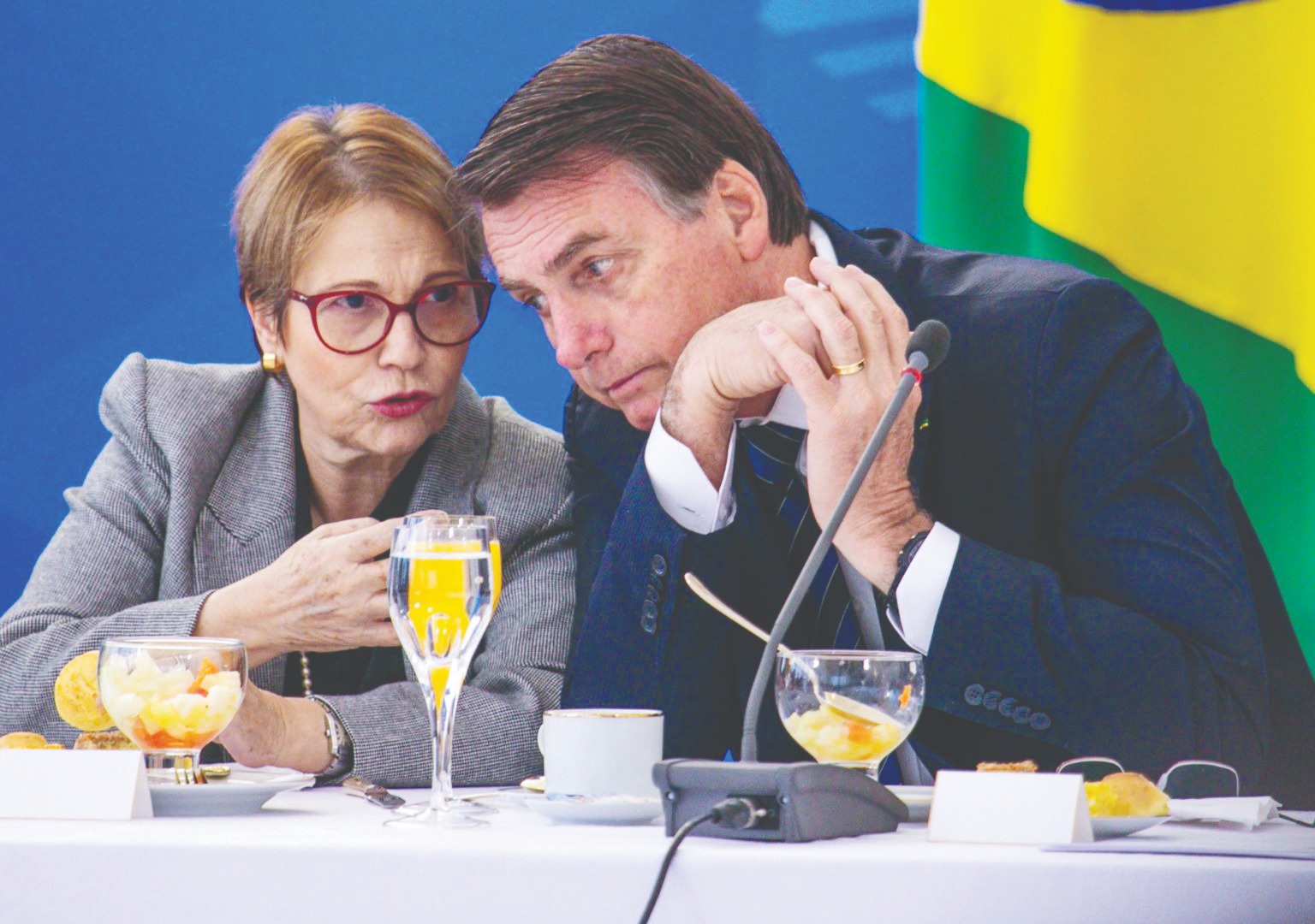 Foto: Tereza e Bolsonaro sempre estiveram unidos,
porém agora mostram posições diferentes em relação à reforma/Reprodução