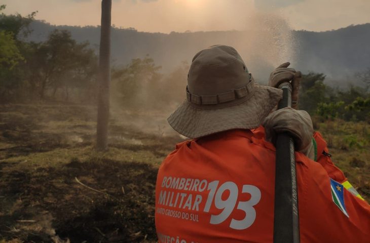 Foto: Divulgação/Corpo de Bombeiros