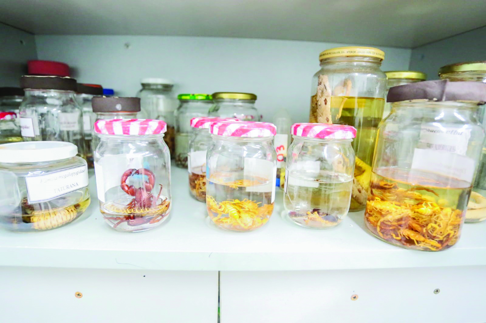 Foto: Onda de calor deste ano tem sido fundamental para o registro recorde no número de vítimas
/Marcos Maluf