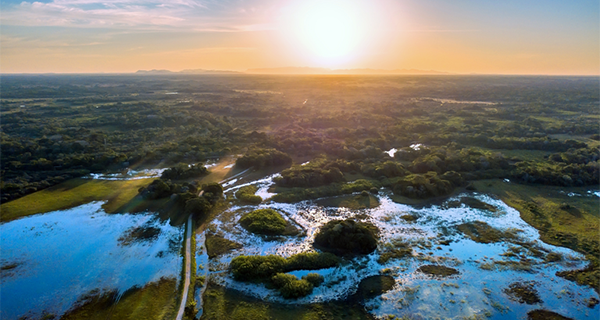 MAPA tem programa específico para Mato Grosso do Sul