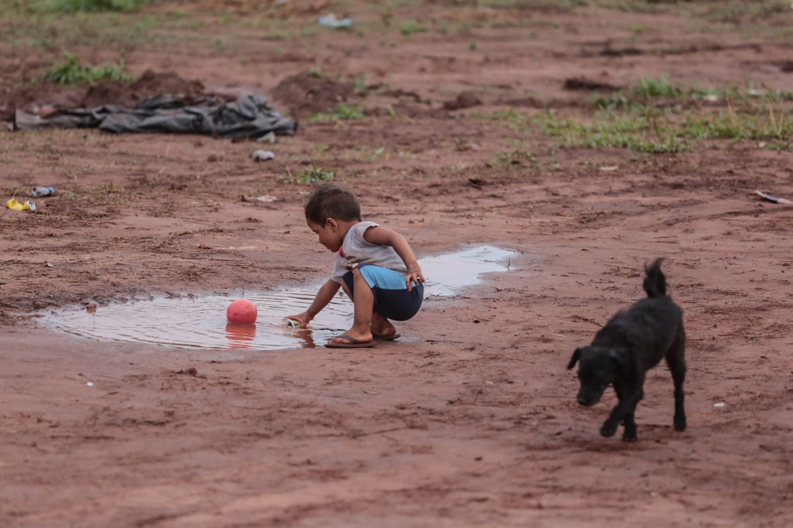 Mais de 40 mil deixam a pobreza em MS entre 2023 e 2024, aponta SIS 2025
