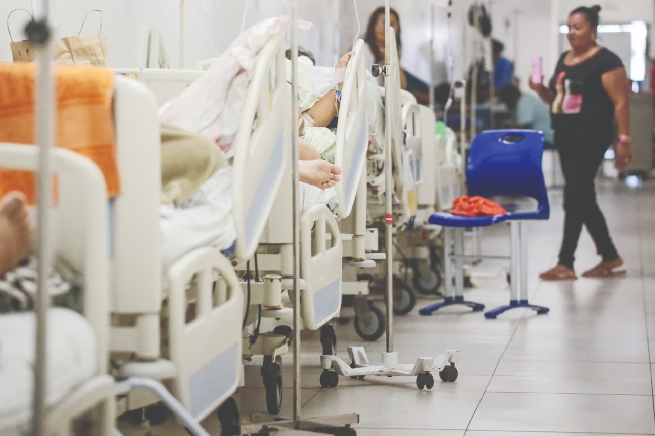 Foto: Falta de limpeza e
cuidado em terrenos
amplia a procura pelos
serviços de saúde/Marcos Maluf