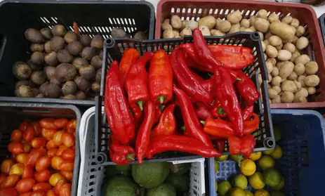 Foto: Paulo Pinto/Agência Brasil