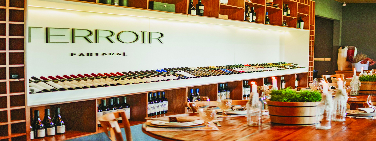 O Terroir Pantanal, no
município de Aquidauana, é
um projeto pioneiro e inovador
em uma região ainda
pouco explorada pelos
produtores de vinho.|Foto: Reprodução