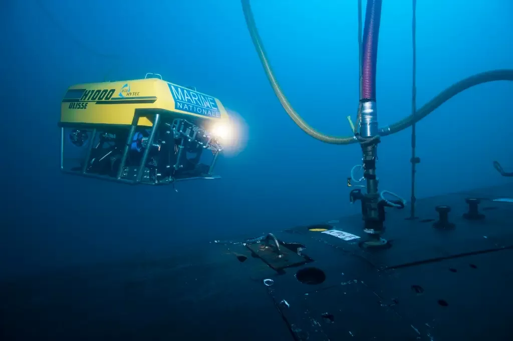 Foto: Alexis Rosenfeld/Getty Images