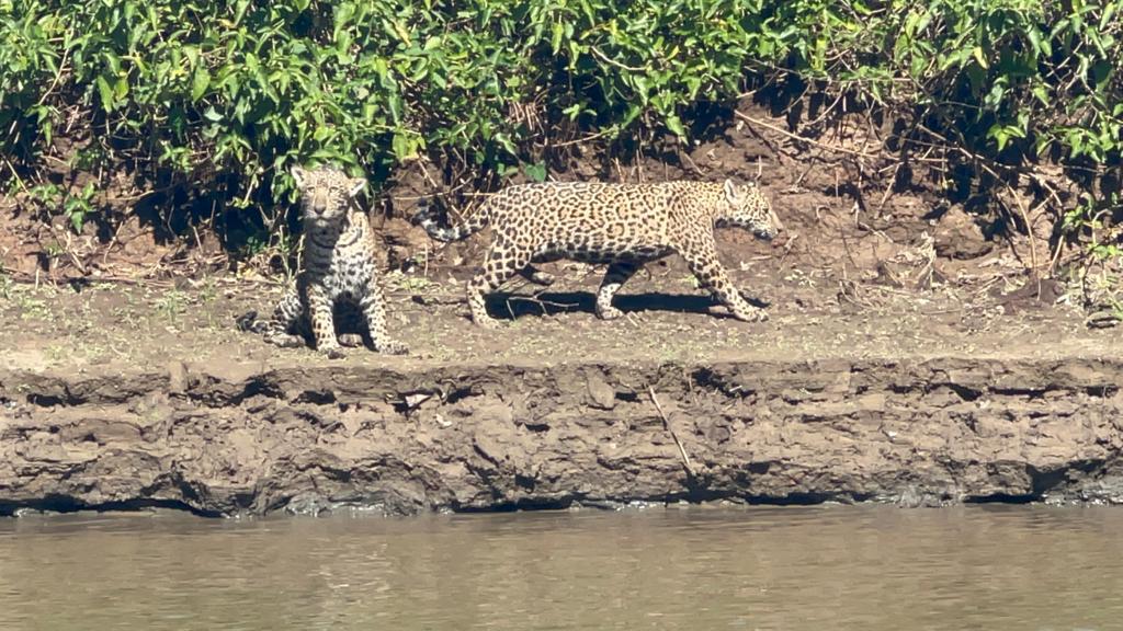 Foto: Divulgação/IHP
