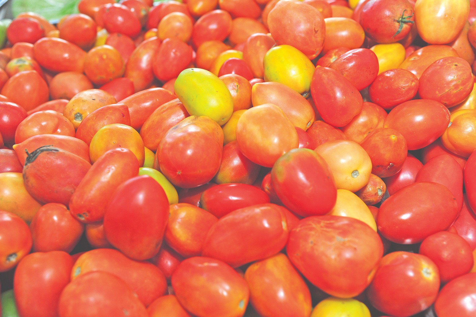 Foto: Nilson Fugueiredo