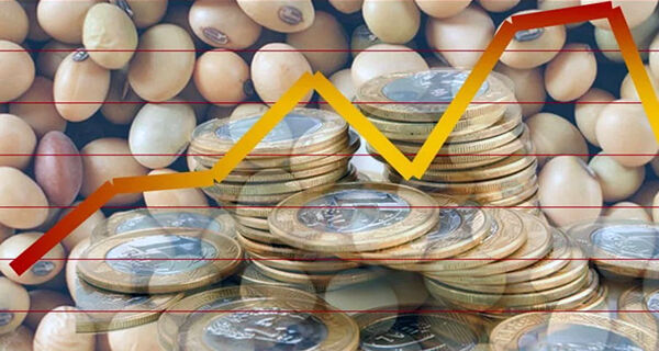 Clima influenciou a quebra da safra