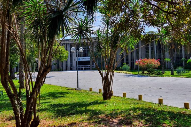 Foto: Wagner Guimarães/Alems