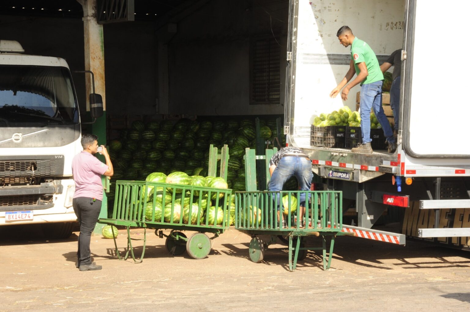 ceasa campo grande