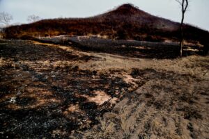 queimadas pantanal