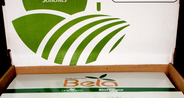 Pesquisa busca impulsionar produção no campo