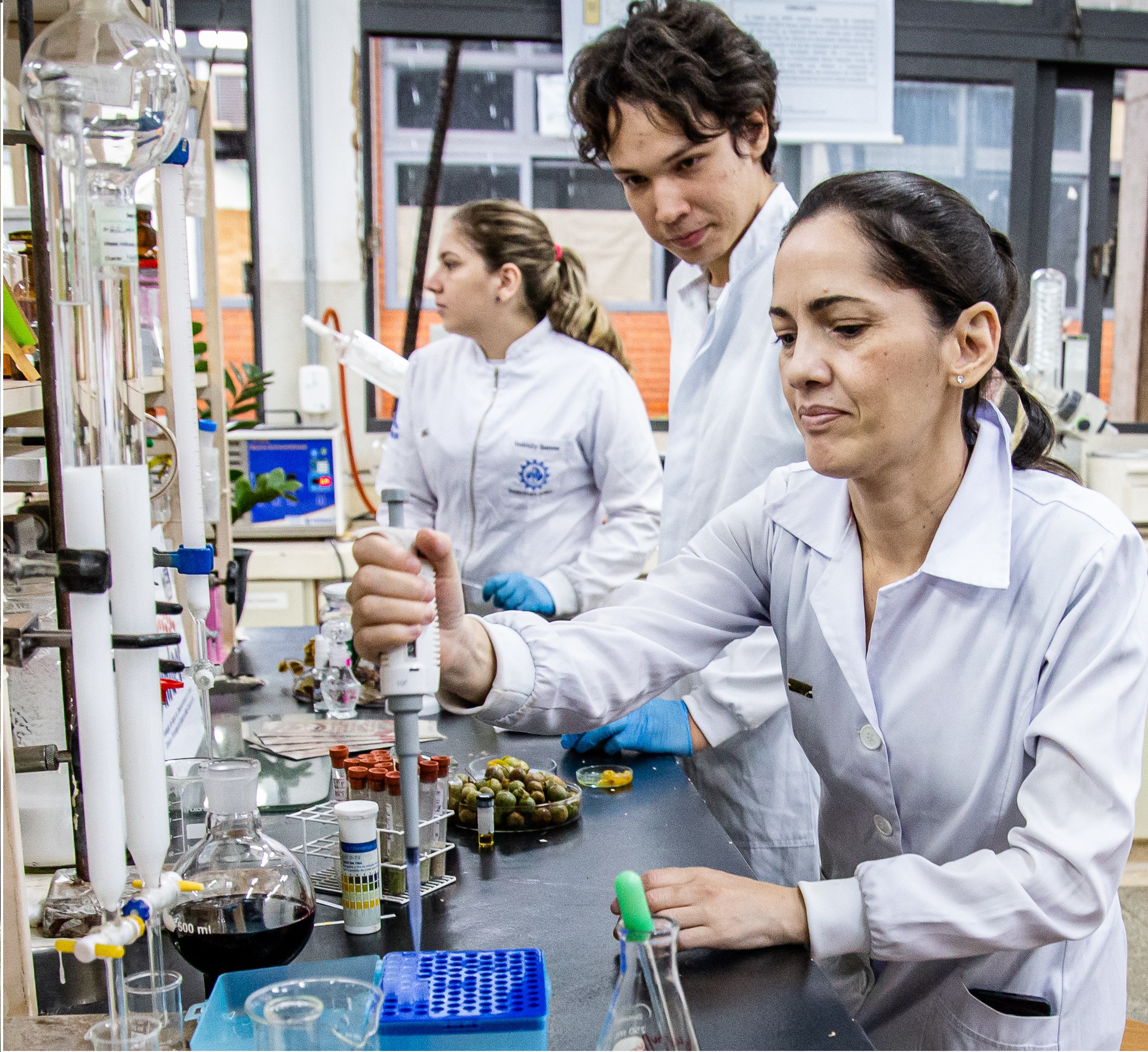 Guavira pode virar cosmético