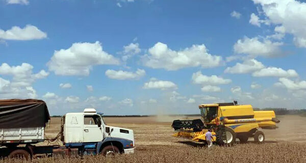 Colheita da safra avança em todo Brasil