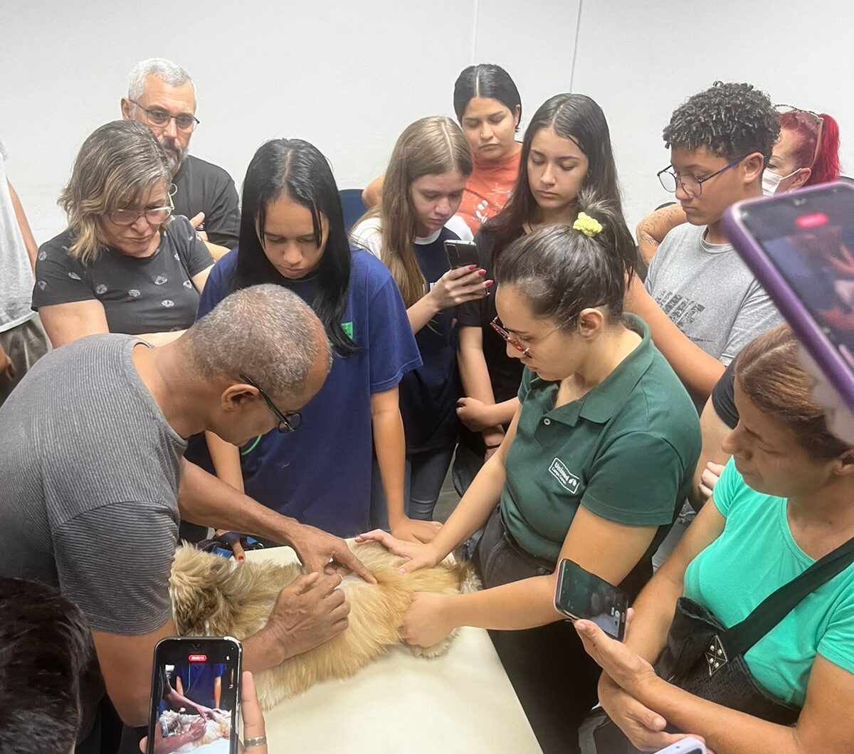 Divulgação: PREFCG