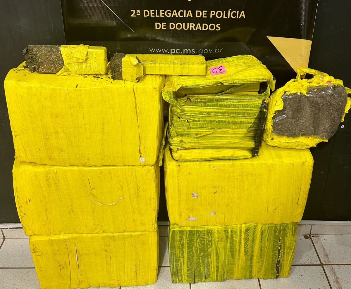 Foto: Divulgação/Polícia Civil MS