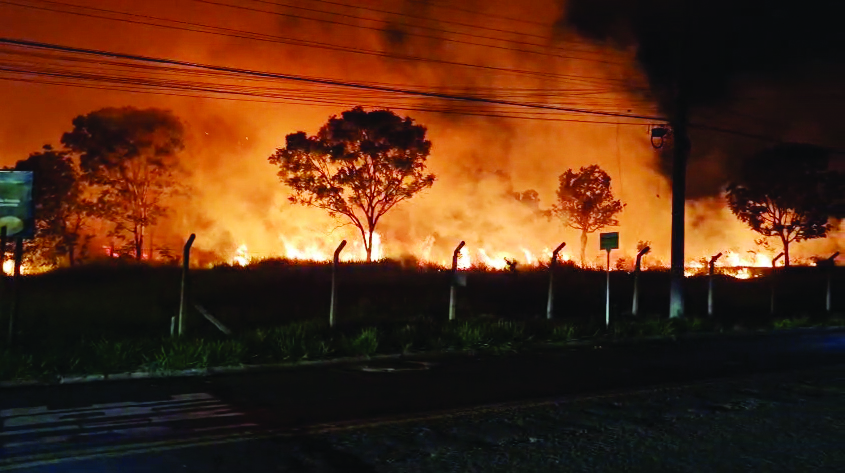 Somente nesse ano, já foram aplicadas mais de 50 multas pelas equipes da Semadur - Foto: Arquivo Pessoal