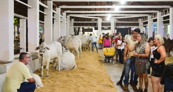 Na reta final dos preparativos Exogrande já é uma das mais importantes do país