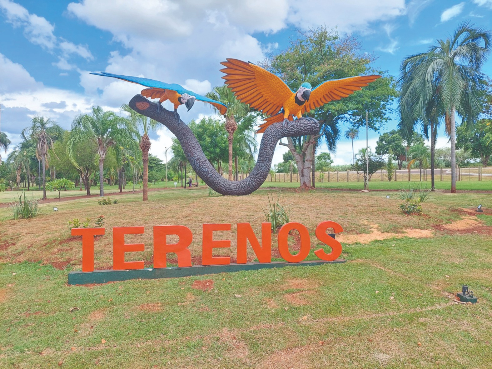 Realizado pelo artista
plástico Cleir Ávila, a obra
nomeada como “Monumento
Canindés” apresenta duas
araras, com cerca de sete
metros de altura (Foto: Divulgação)