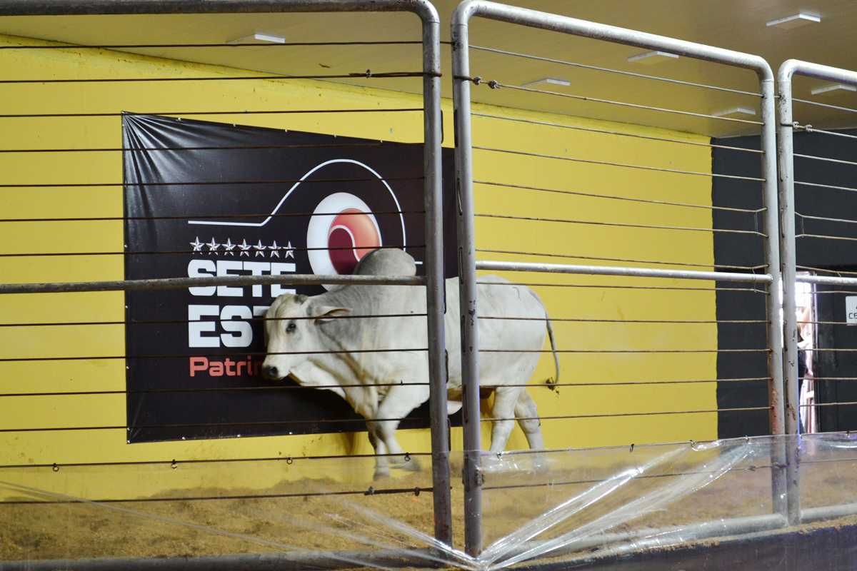 Foto: Divulgação/Acrissul