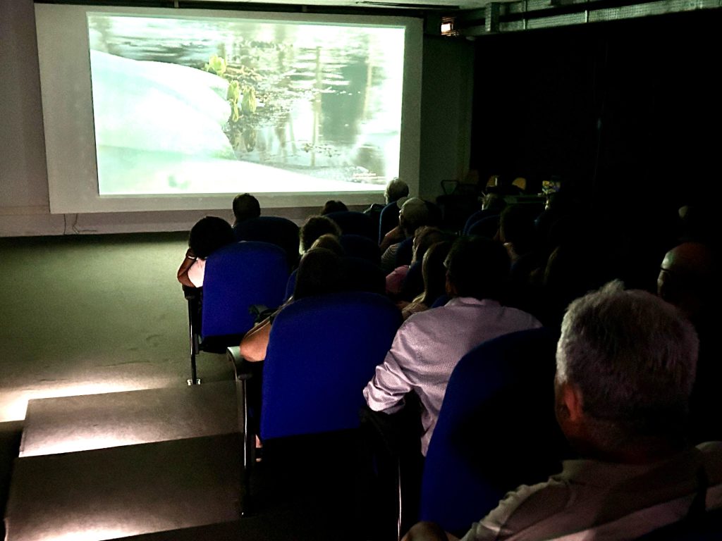 Foto: Fundaç de Cultura MS/ Paula Maciulevicius