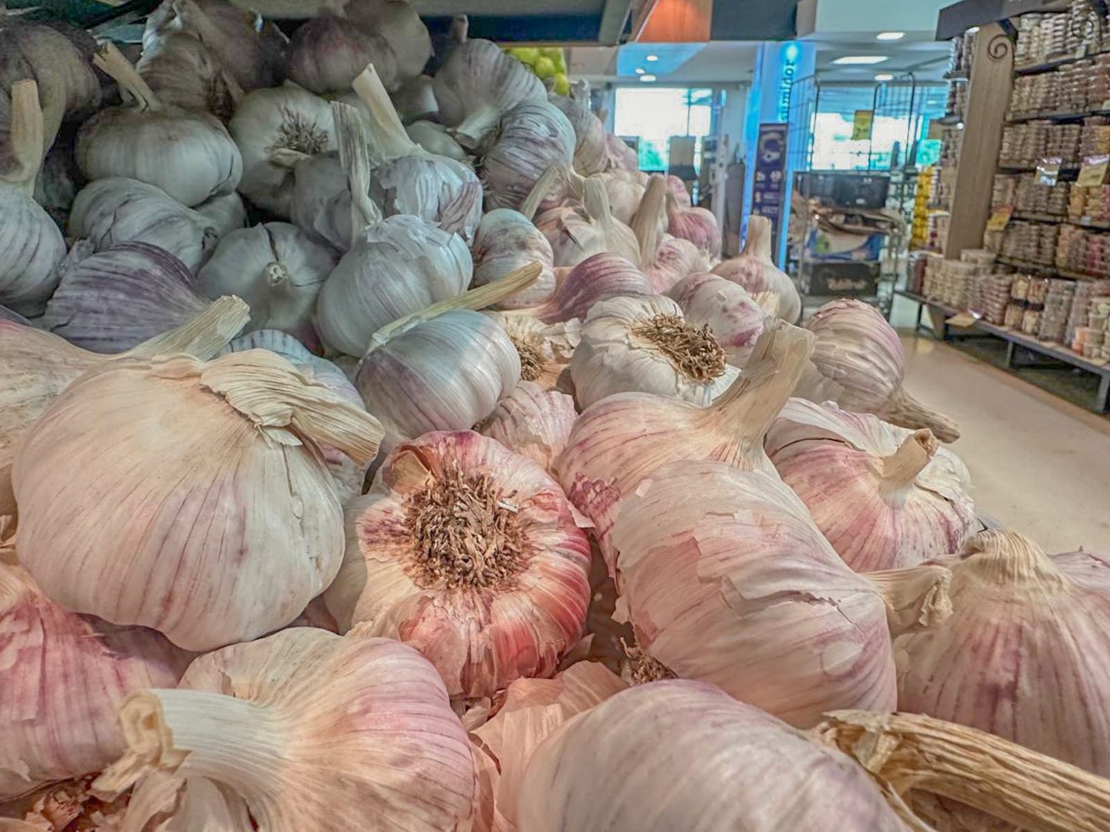 (Foto: Marcos Maluf)