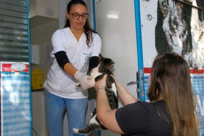 Castramovel-NOB-9-scaled-420x280_c (2)