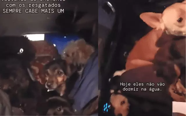 Foto: Reprodução/SCC10