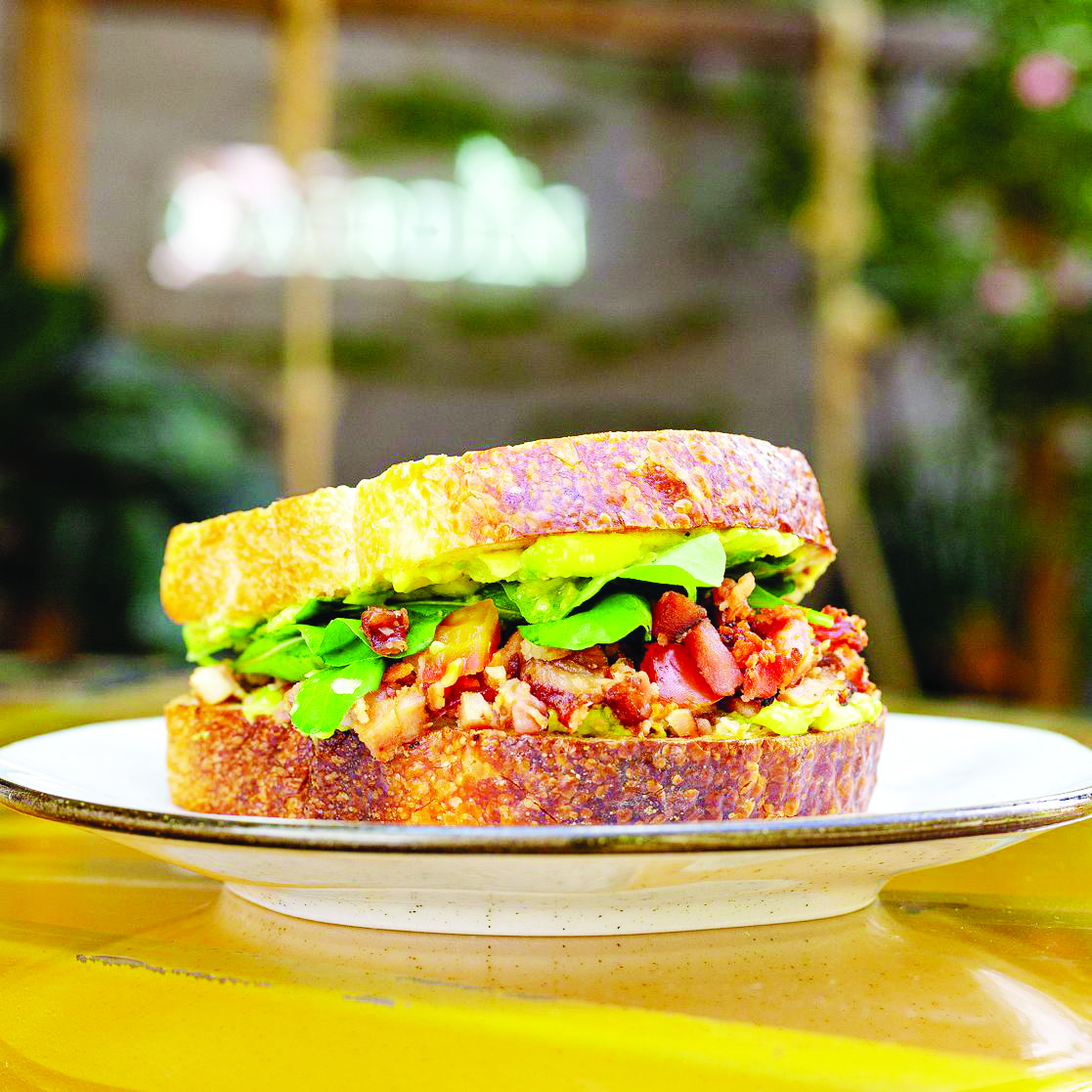 Sanduíche, chá gelado
e joias estão entre
produtos que serão
vendidos sem imposto (Foto: Marcos Maluf )