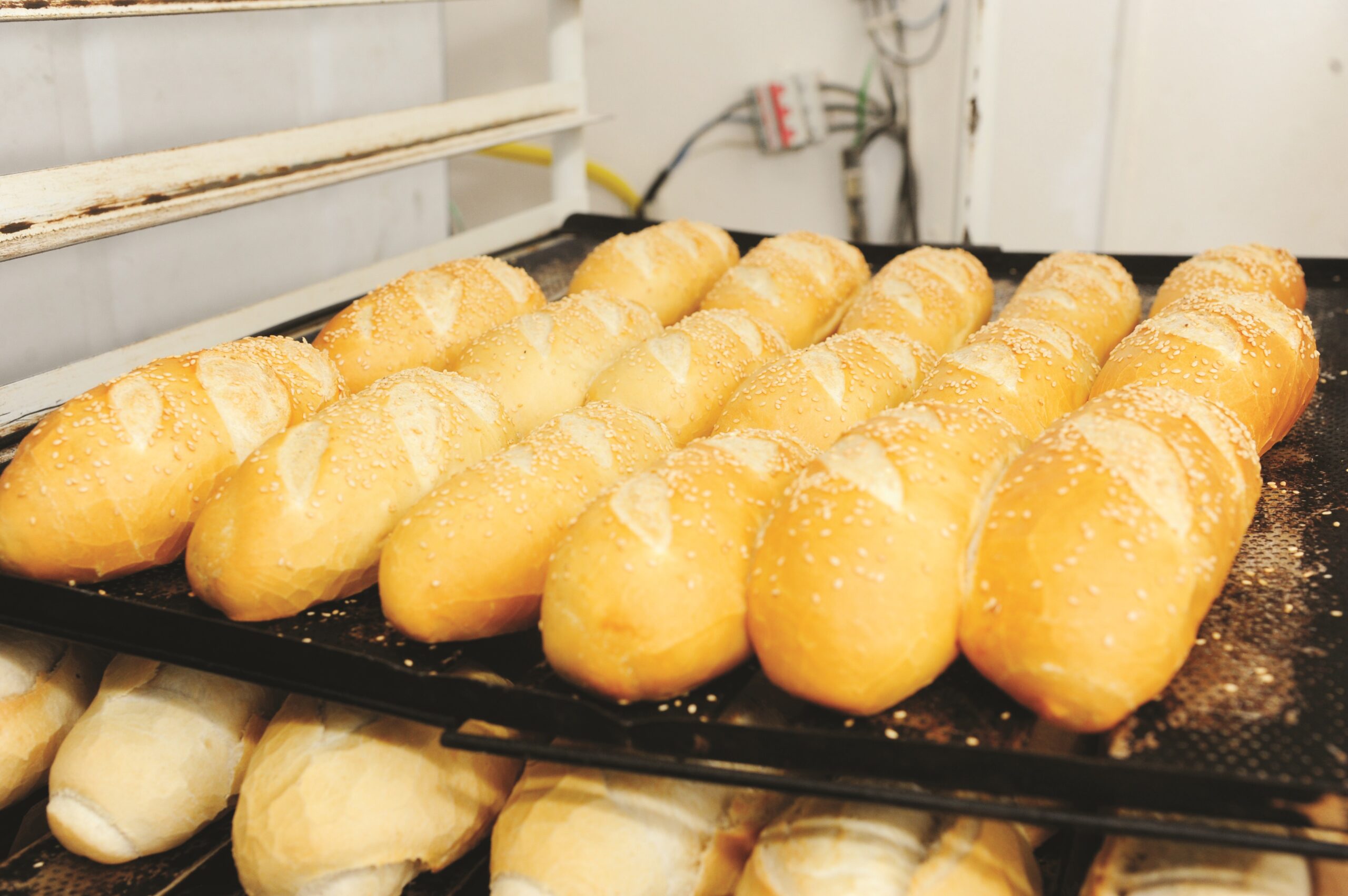 Foto: Nilson Figueiredo