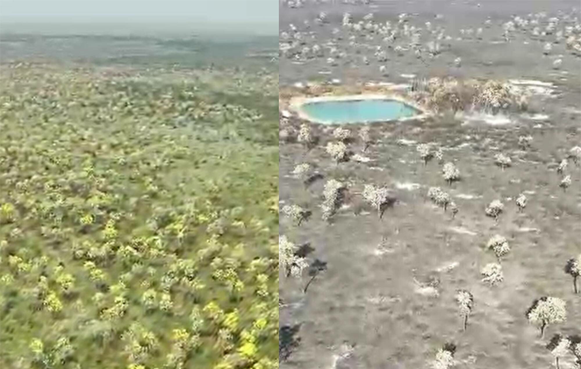Vídeo de vegetação em cinzas e peixes agonizando em meio a lamaçal mostram consequência de incêndios no Pantanal