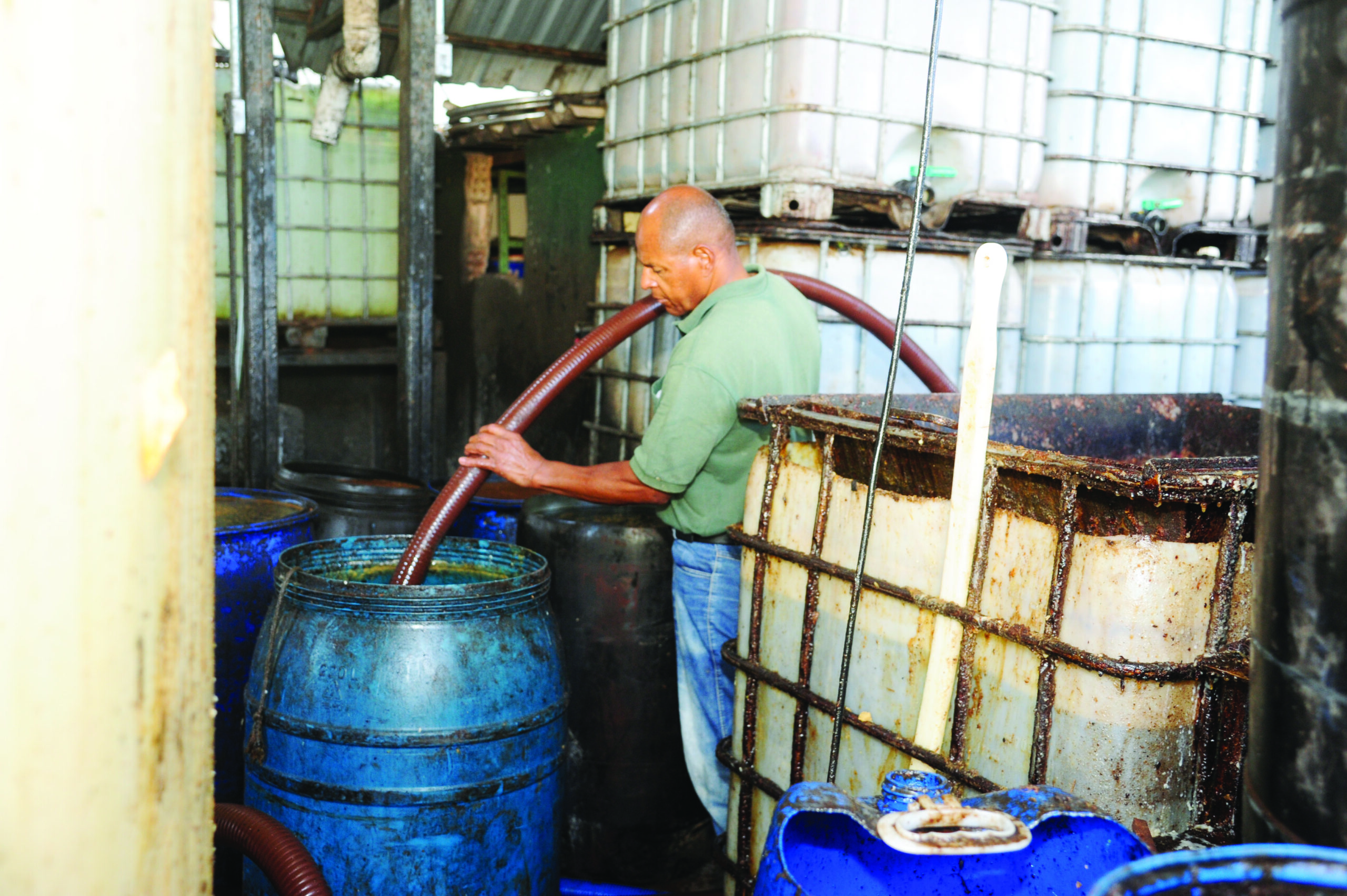 Funcionário
de empresa
manuseando o
óleo vegetal usado
(Foto: Nilson Figueiredo)