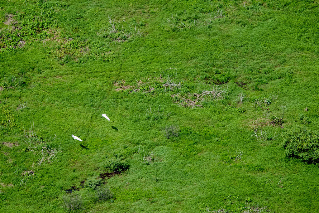 Foto: Renê Carneiro