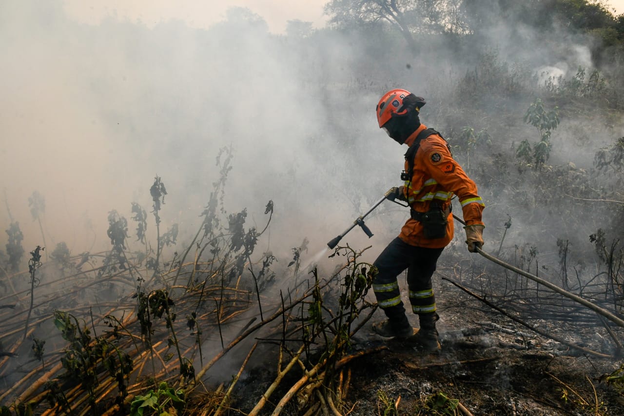 PF instala gabinete de crise para investigar incêndios no Pantanal Sul-mato-grossense