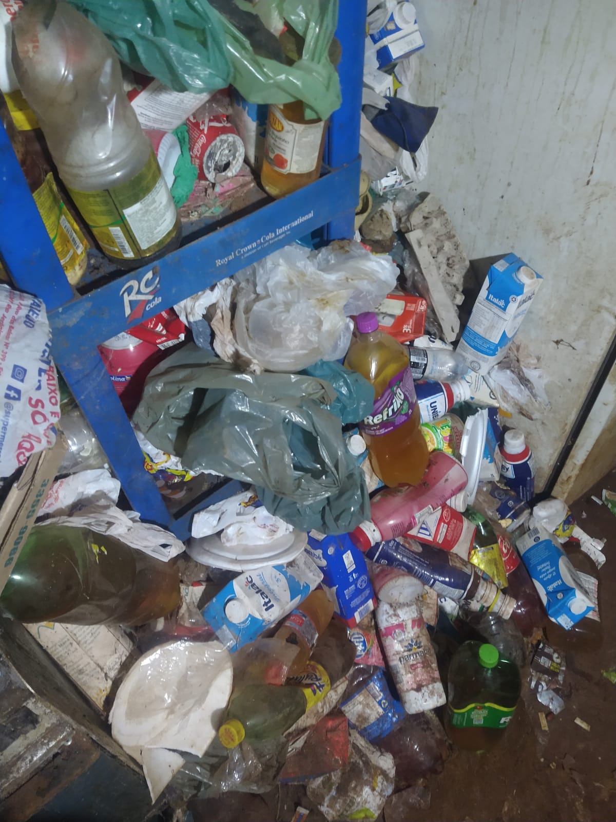 Foto: divulgação/GCM