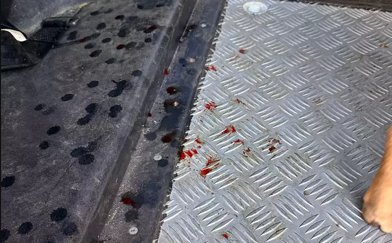 Sangue do animal ficou pelo assoalho do carro - Foto: divulgação