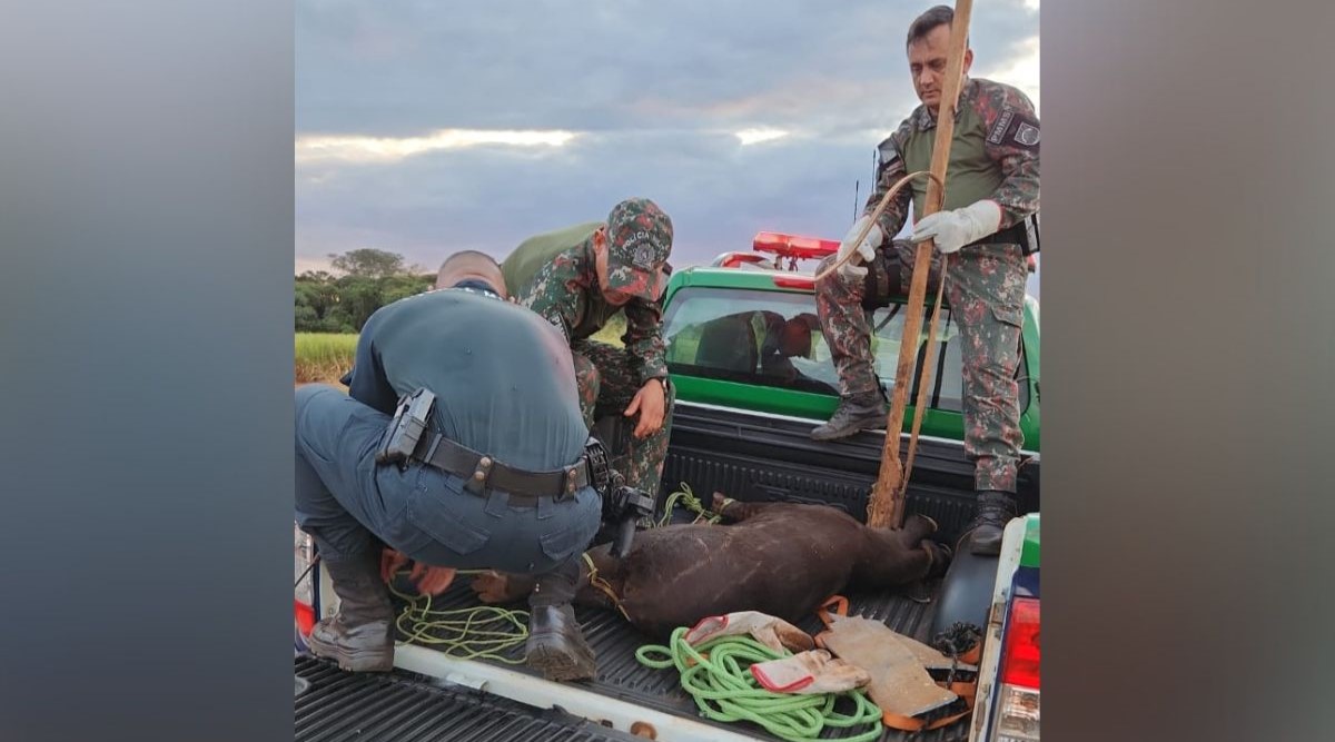 (Foto: Reprodução/PMA)