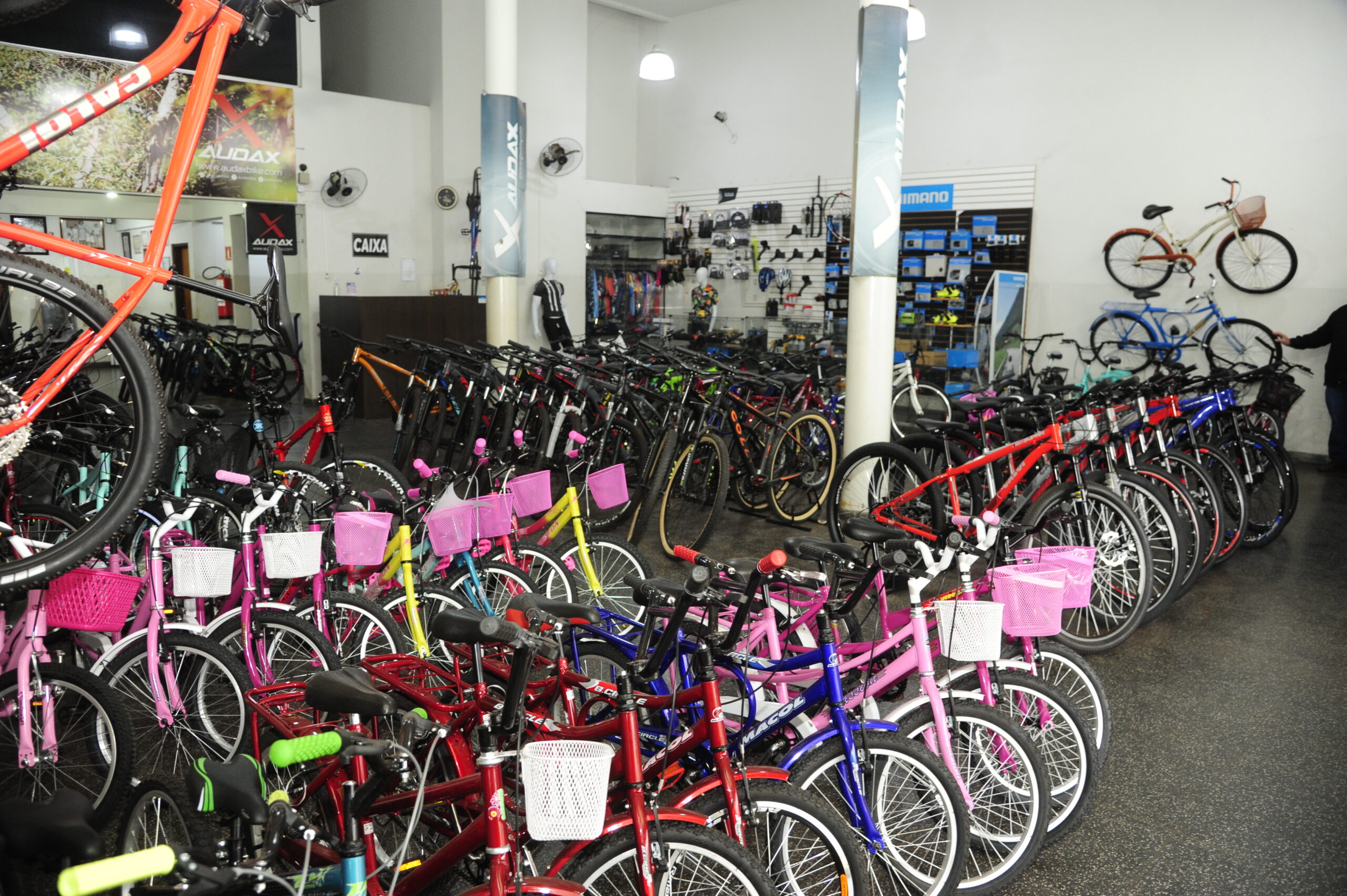 Bicletas para
crianças e adultos
na loja Ciclo Ribeiro ( Foto: Nilson Figueiredo)
