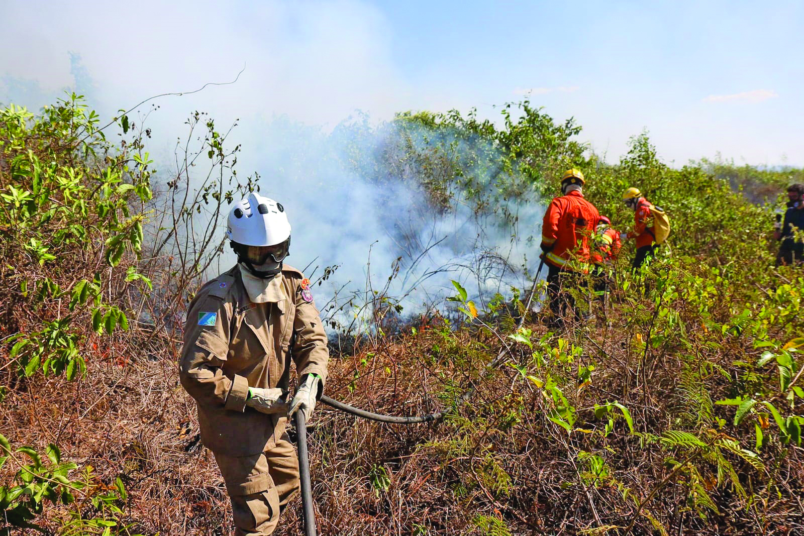 “Se não houver leis mais severas sempre terão mais incêndios como esse”, relata fazendeiro