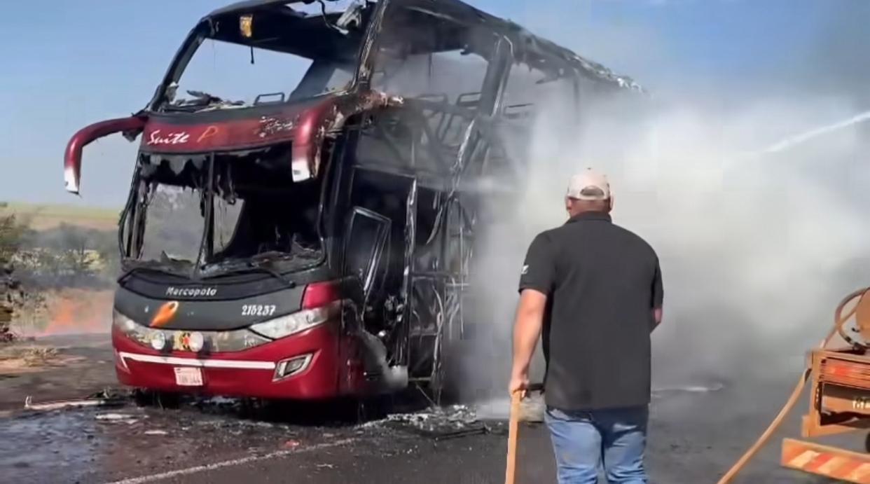 WhatsApp Image 2024-07-04 at 13.59.46