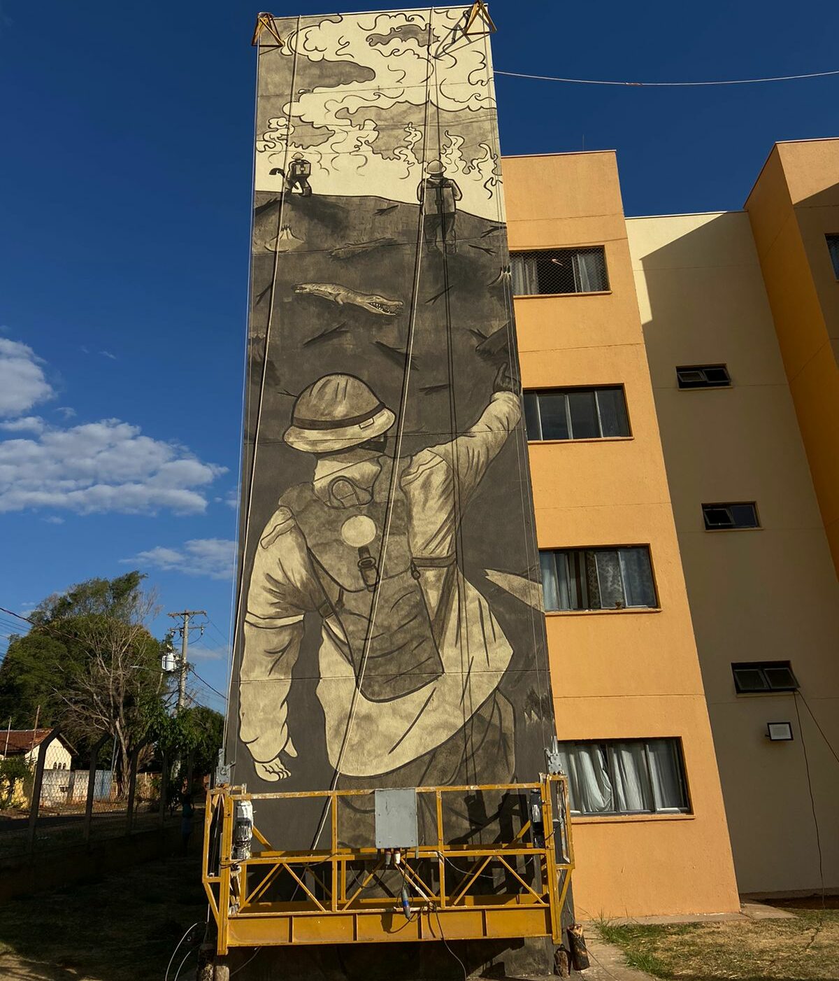 Foto: Divulgação/Parede Viva