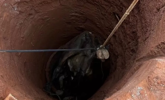 Foto: Reprodução/Jornal da Nova