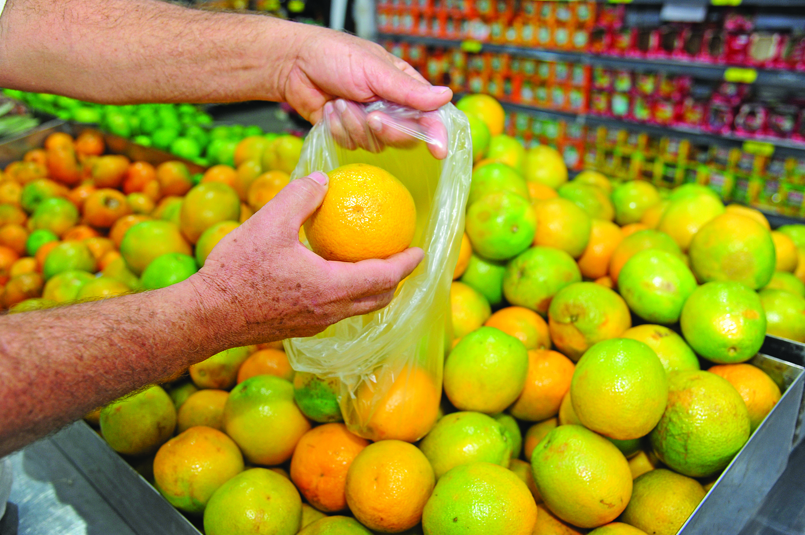 Com seca e greening, crise no setor de laranja aumenta custos e muda preferências de consumo na Capital