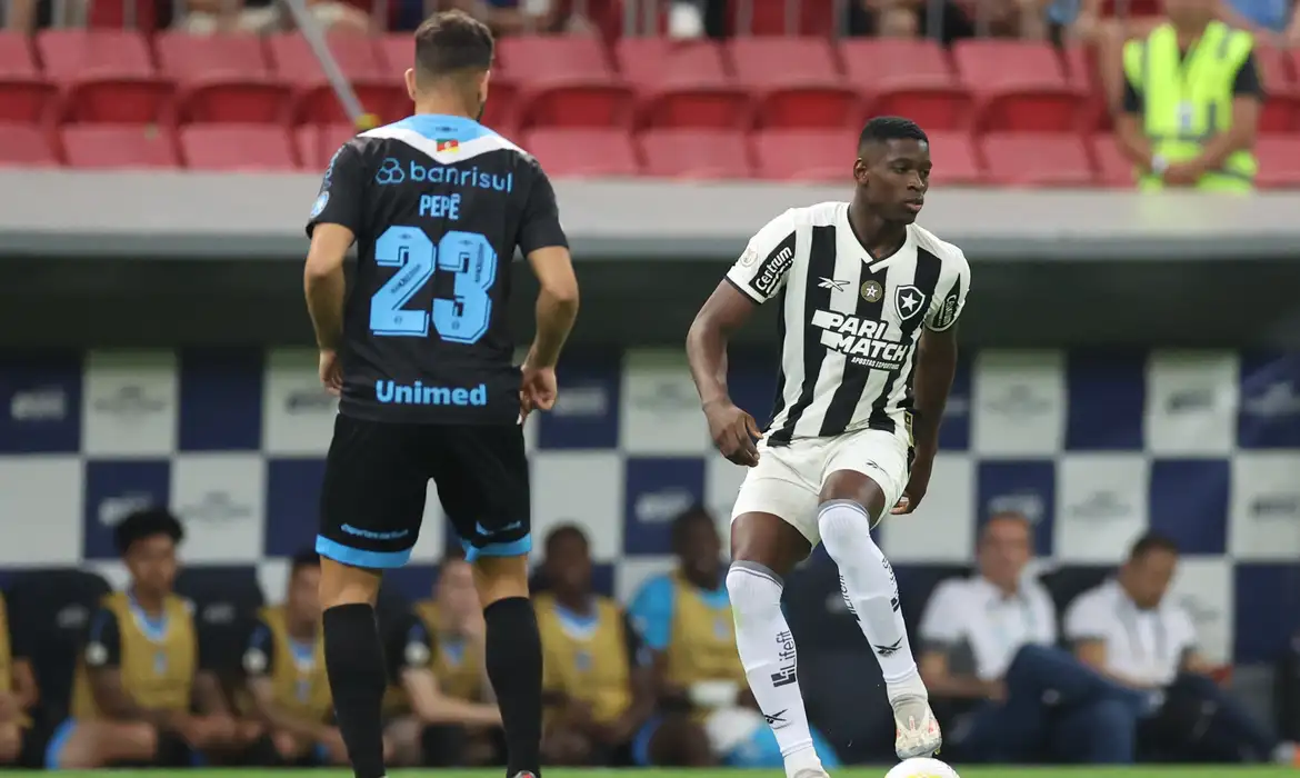 Foto: reprodução/Botafogo